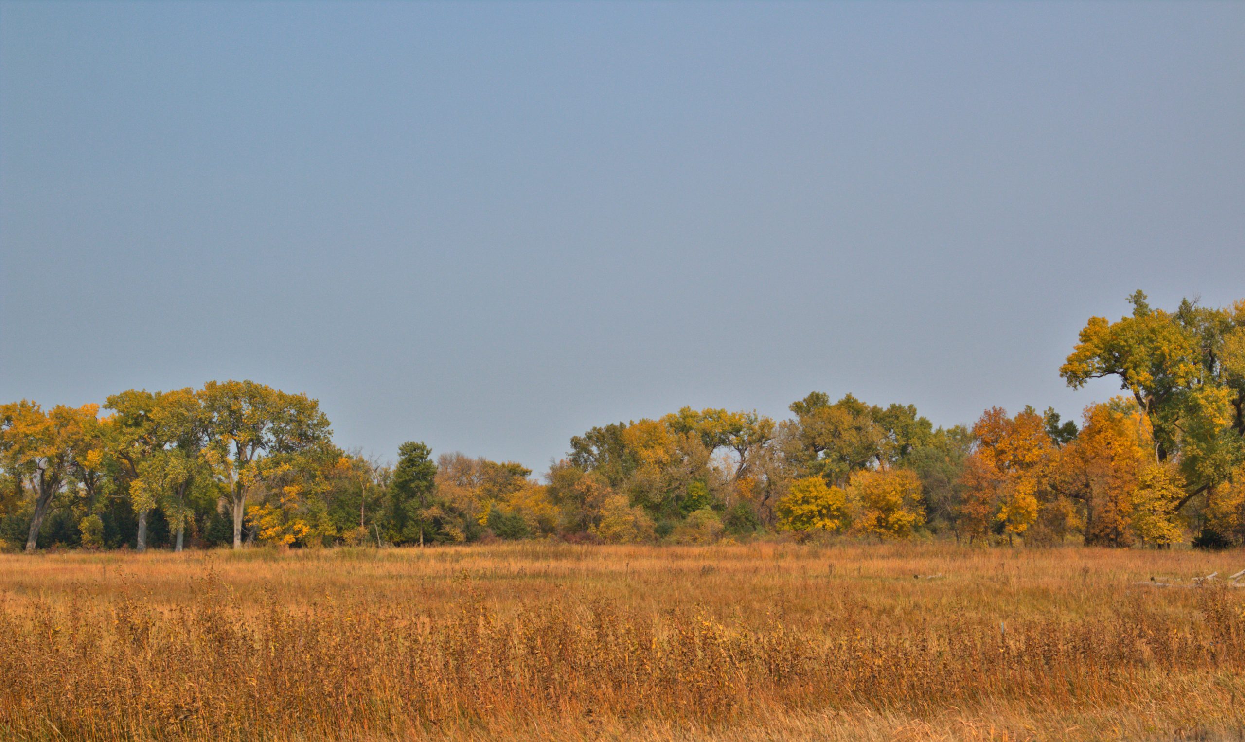 Why Fall Is the Best Time for Nebraskans to Get Their Hearing Checked